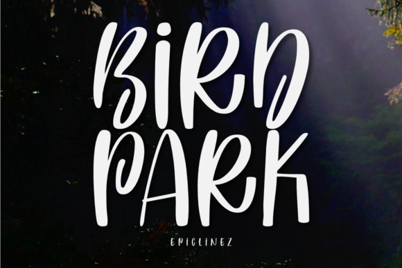 Bird Park: A Playful Display Font for Scroll-Stopping Marketing