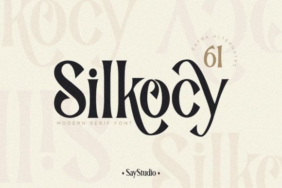 Silkocy: A Modern Serif Font That Makes Your Campaign Stand Out